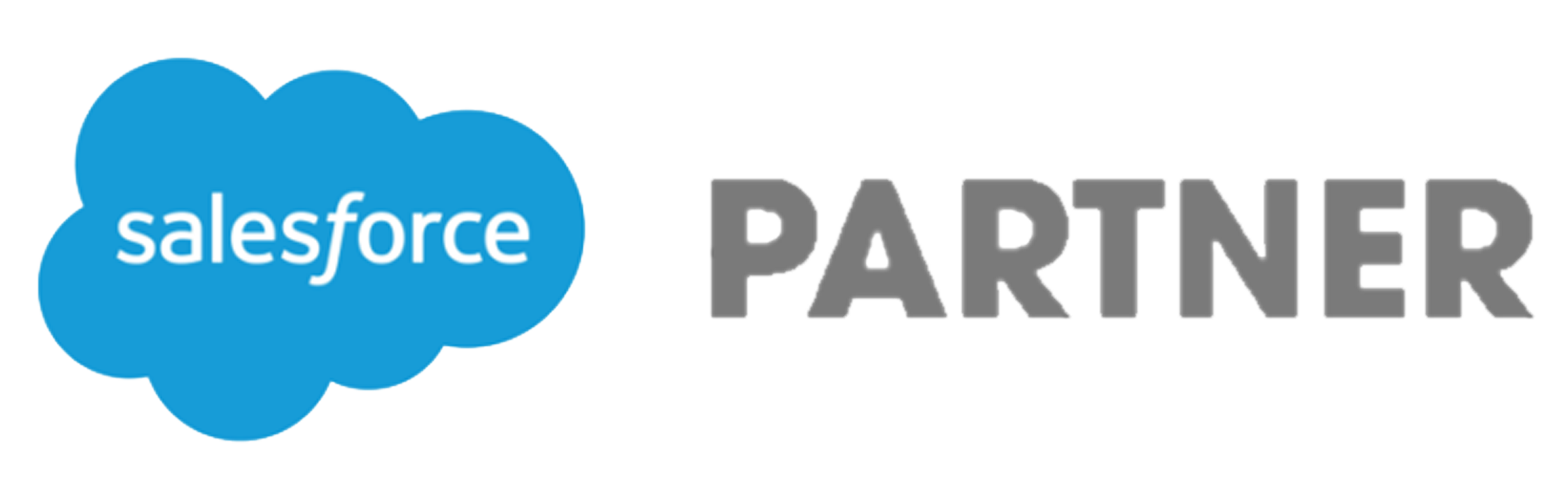 Salesforce Partner